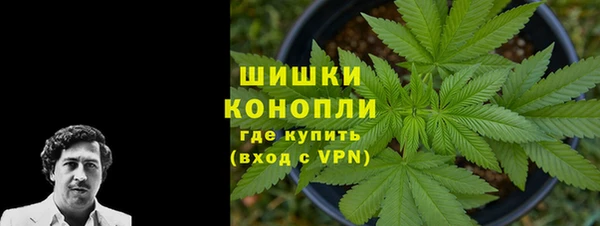 дмт Абаза