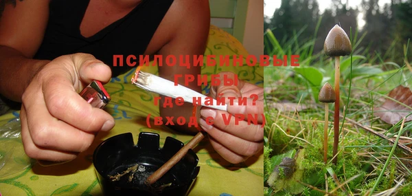 ешки Алексеевка