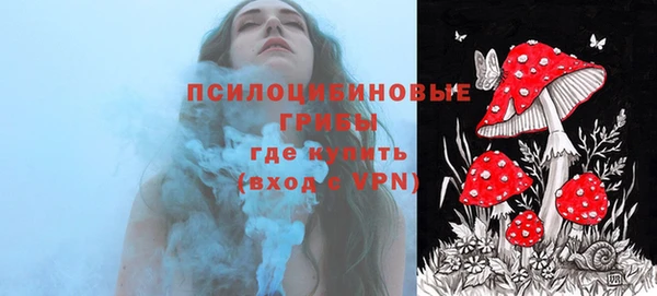 ешки Алексеевка