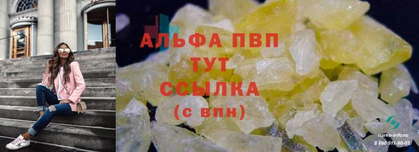 дмт Абаза